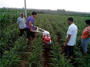 田園管理機(jī)使用前的準(zhǔn)備工作