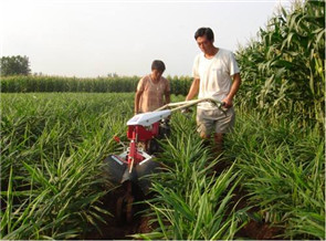 多功能大姜開溝機(jī)