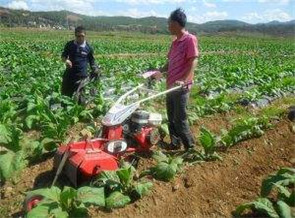 煙地開溝培土機(jī)器