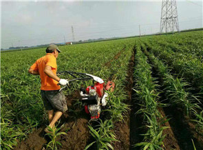 <b>大姜開溝機</b>